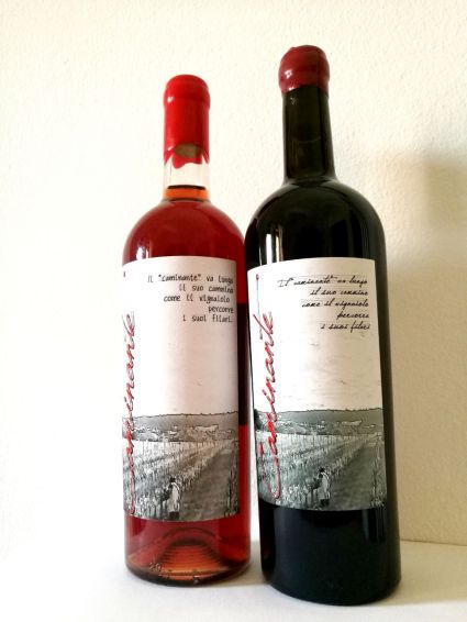 Caminante_Rosato_Rosso